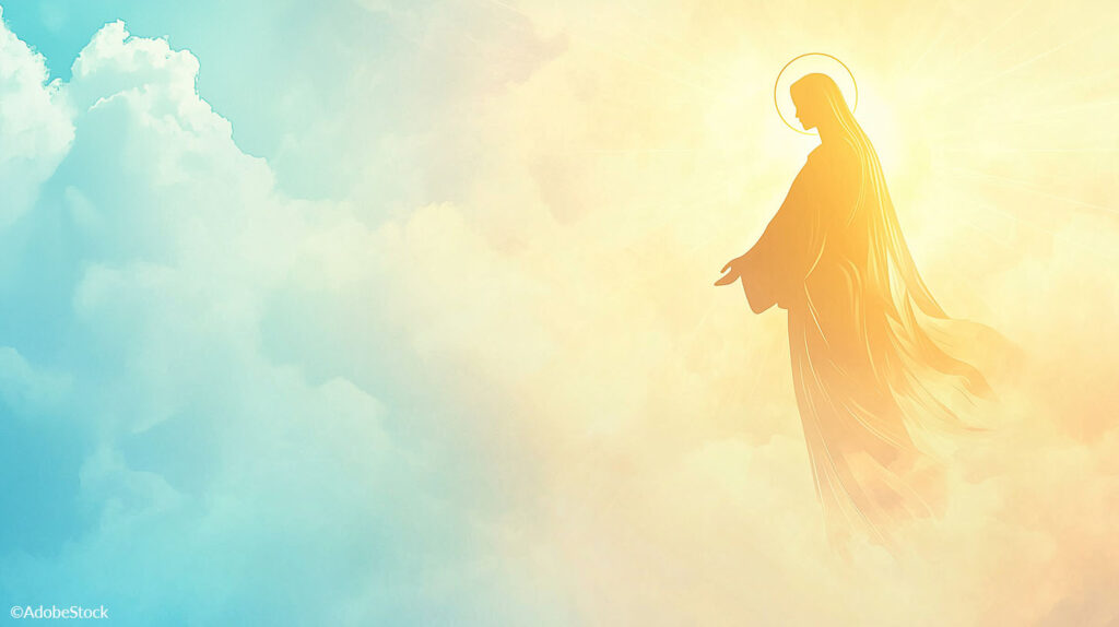 Message de Mgr Brunin pour la fête de l’Assomption – 15 août