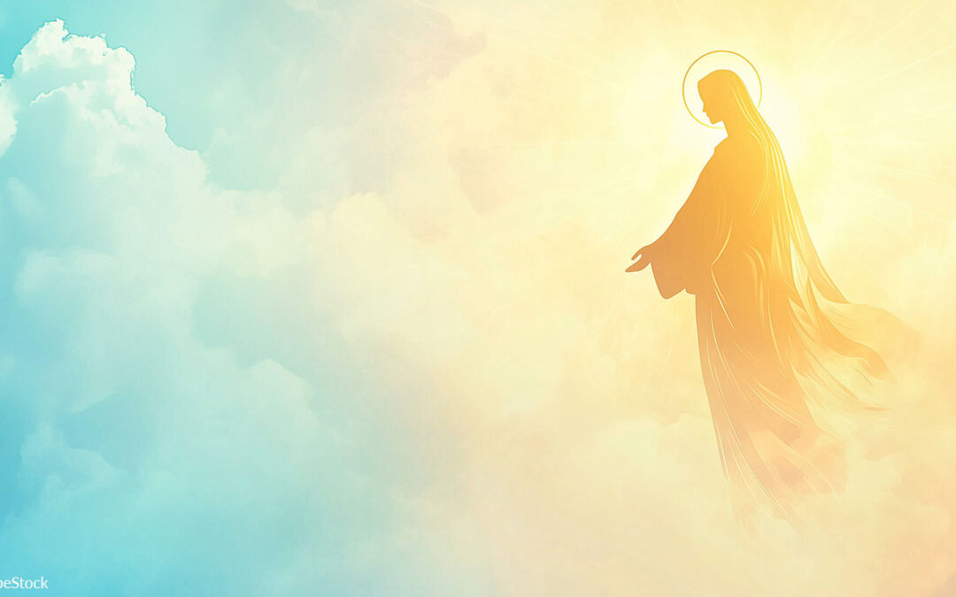 Message de Mgr Brunin pour la fête de l’Assomption – 15 août
